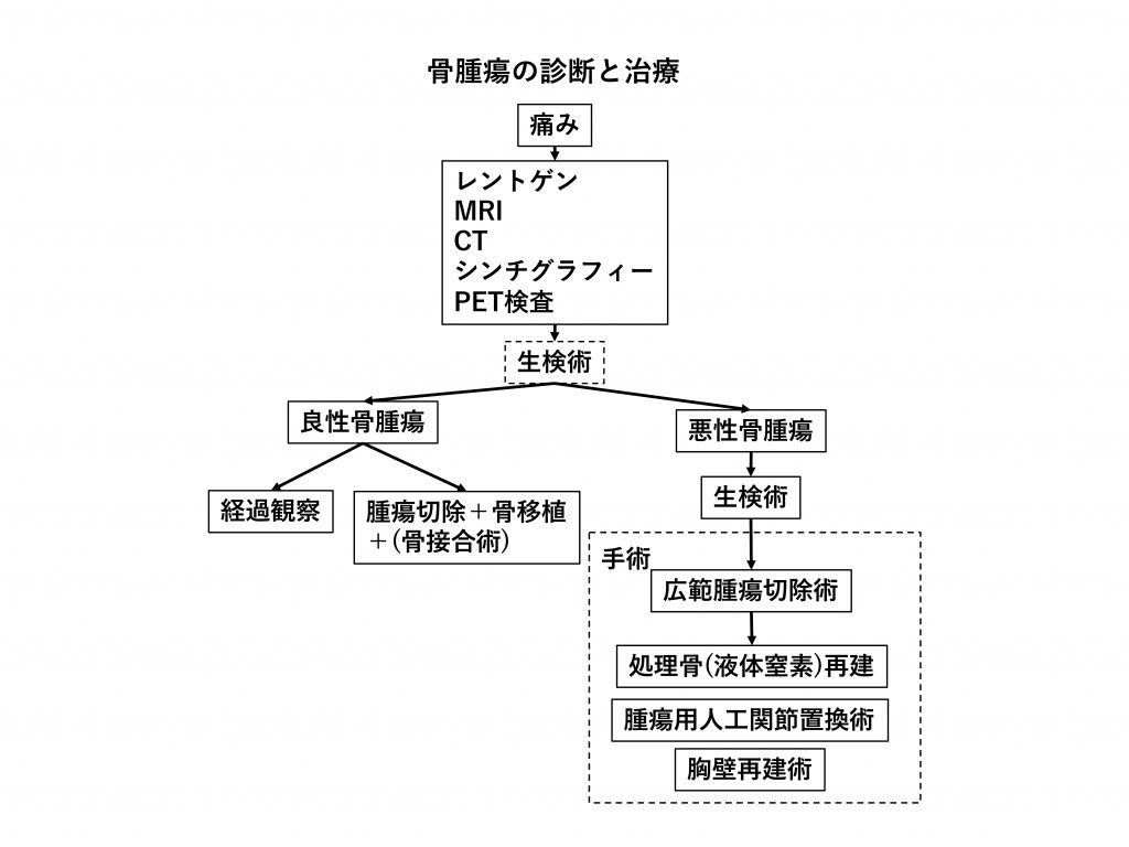 骨腫瘍の診断と治療