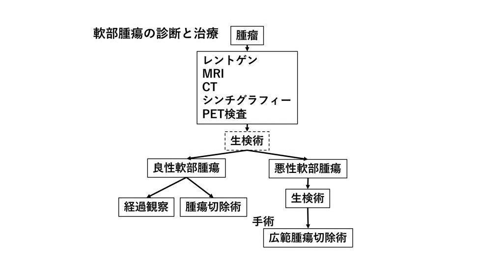 軟部腫瘍の診断と治療