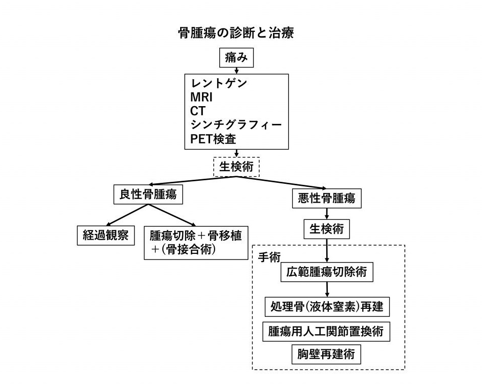 骨腫瘍の診断と治療