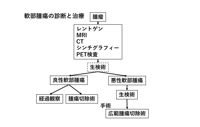 軟部腫瘍の診断と治療